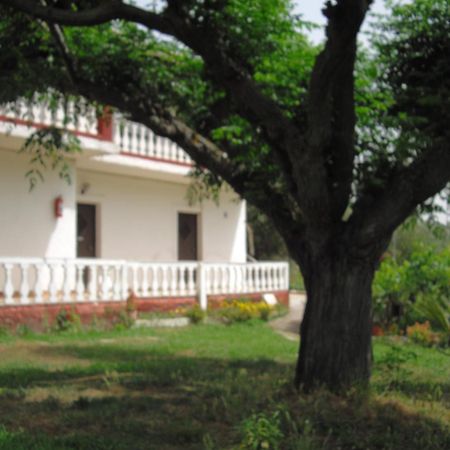 Corfu Country House Vitalades Phòng bức ảnh