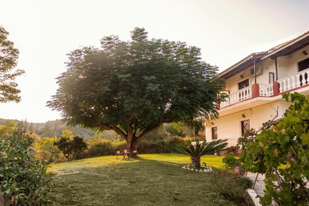 Corfu Country House Vitalades Ngoại thất bức ảnh